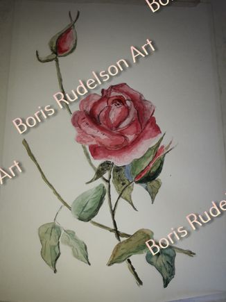 Roses