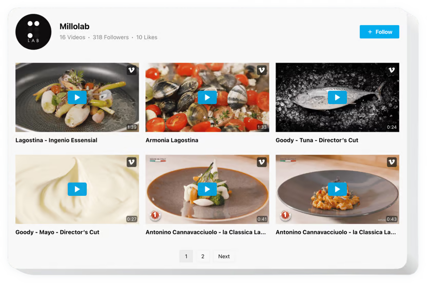 Vimeo gallery webspace launcher