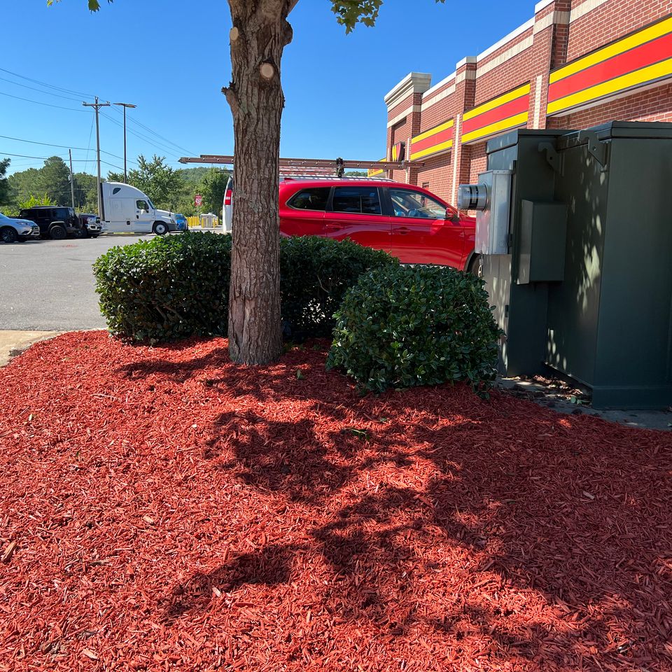 Img 2550