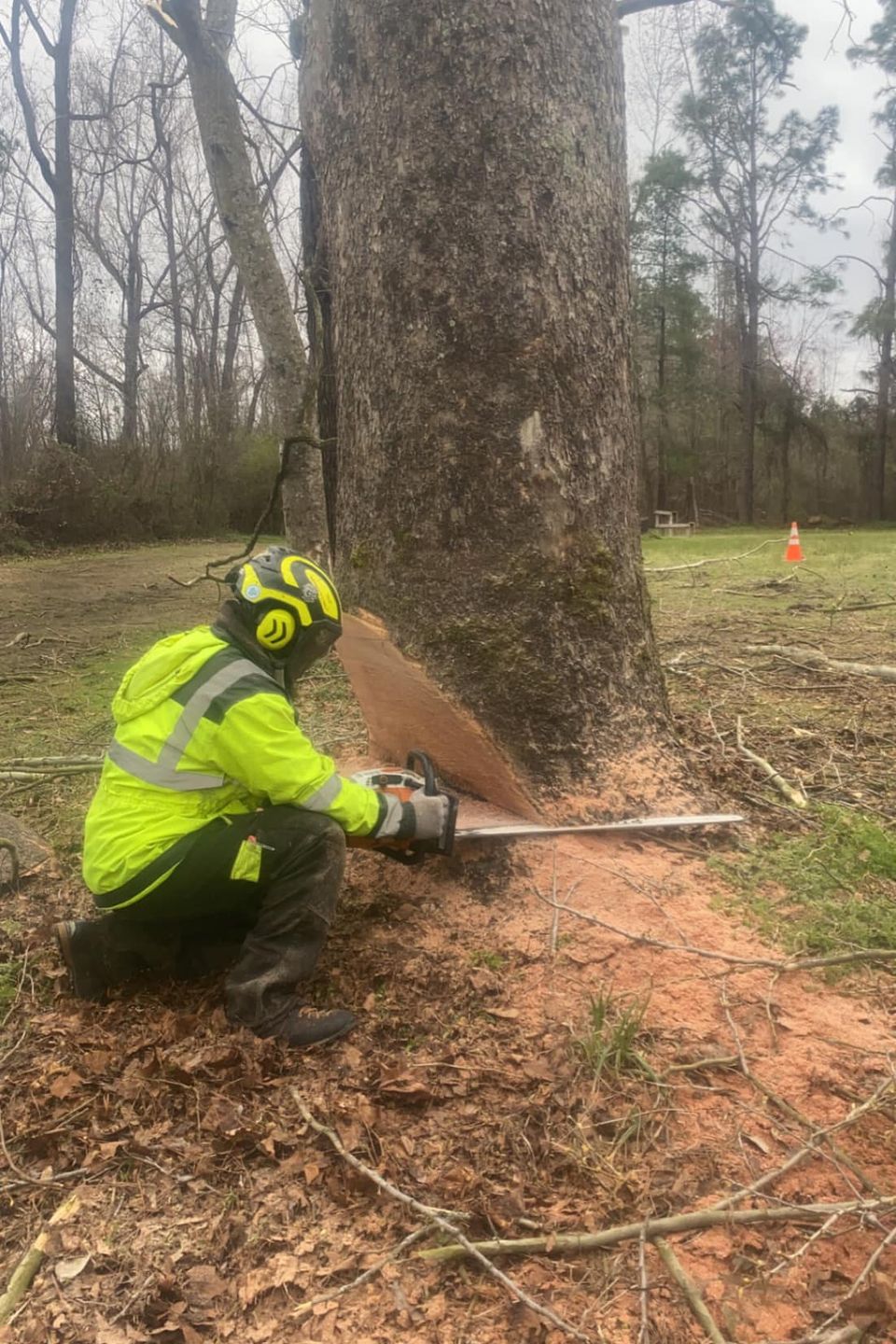 165002425 729197374410409 2066454999121700659 n