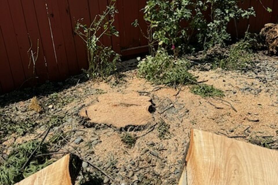 Stump grinding Roseville