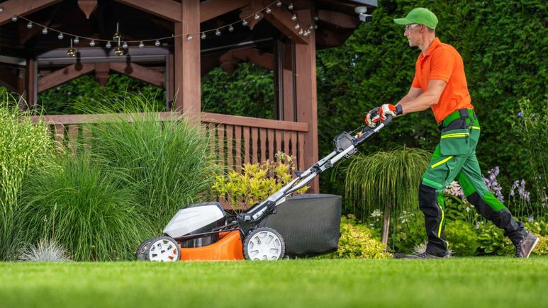 Cbms landscaping
