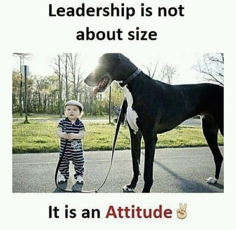 Leadership20170806 9135 fd3n0w