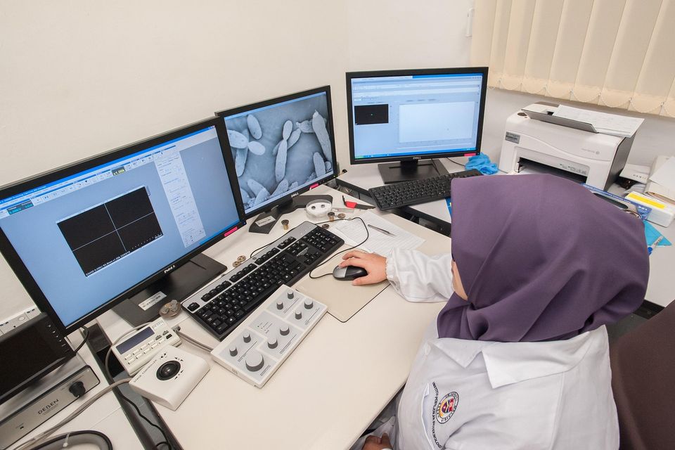 Scanning electron microscope g286f7714e 1920