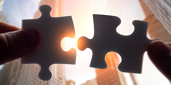 Jigsaw puzzle pieces