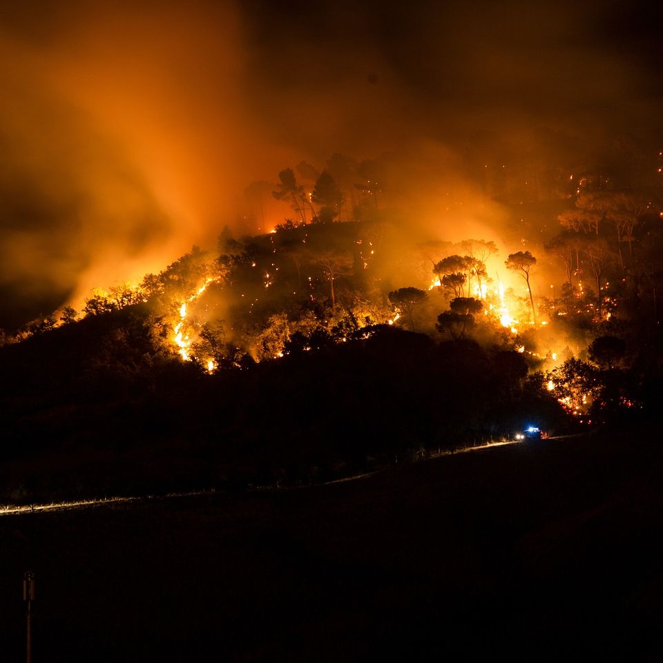 Wildfire gea00b8959 1920