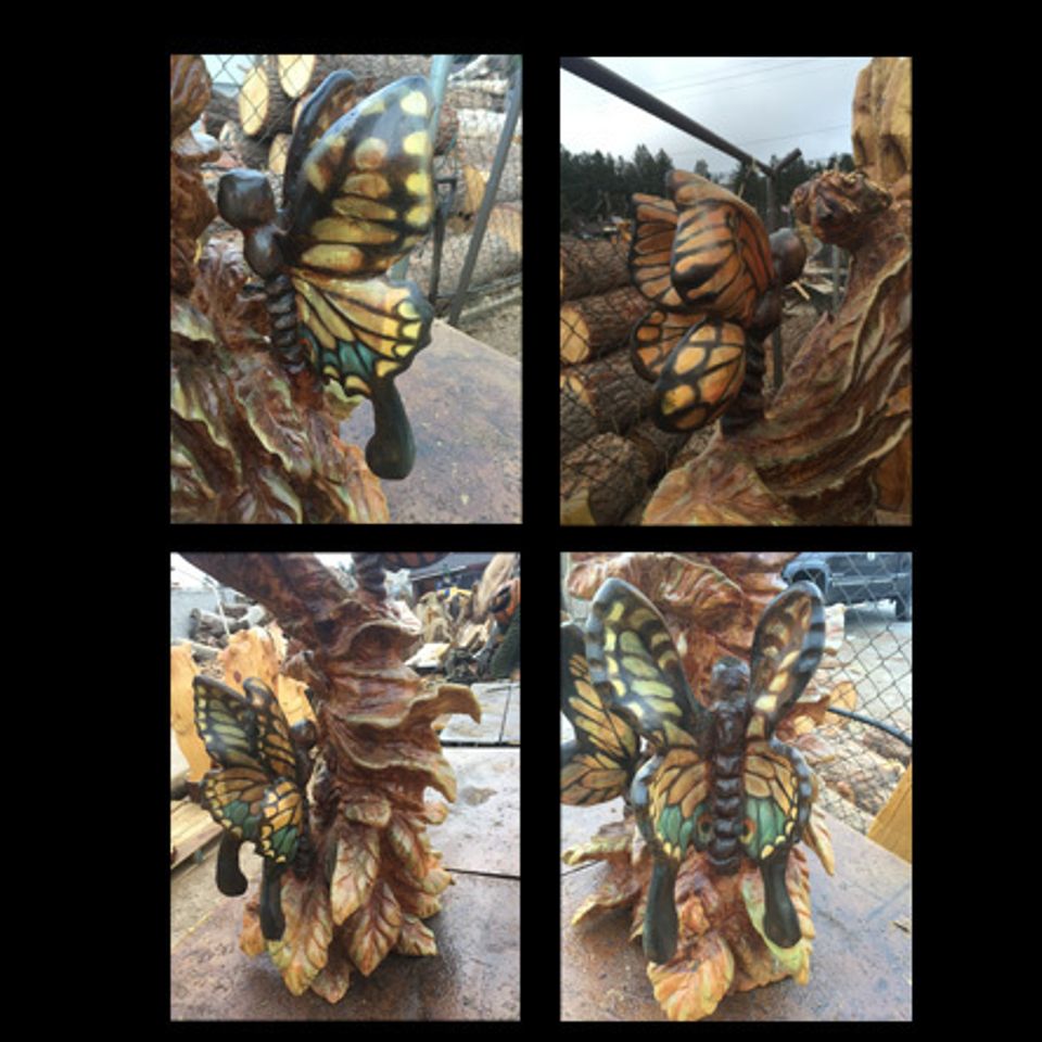 Butterflies120170220 7012 1v3r7g5
