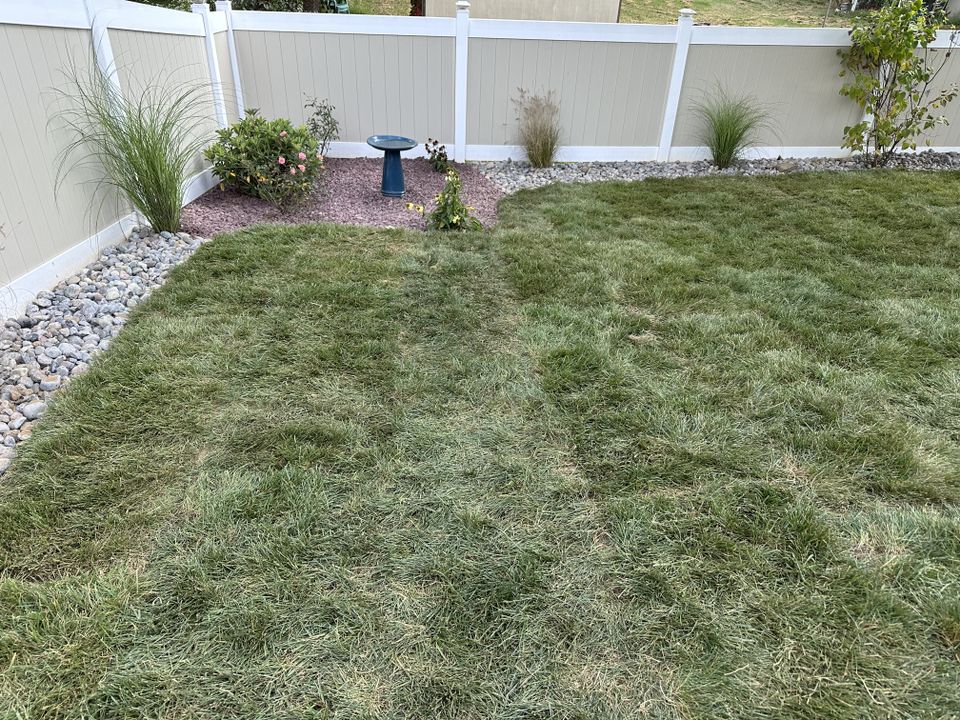 Img 1407 jacob johns