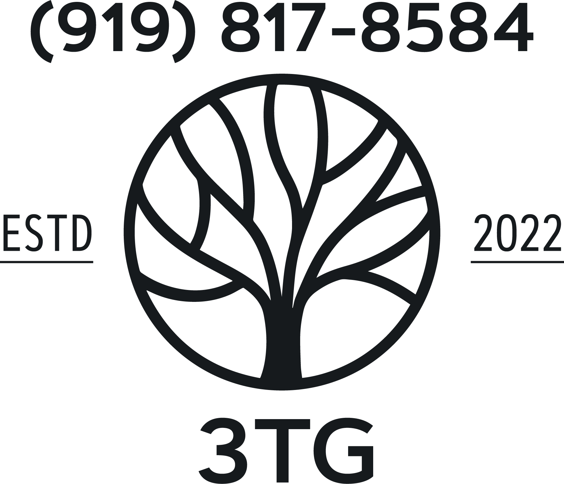 3TG LLC