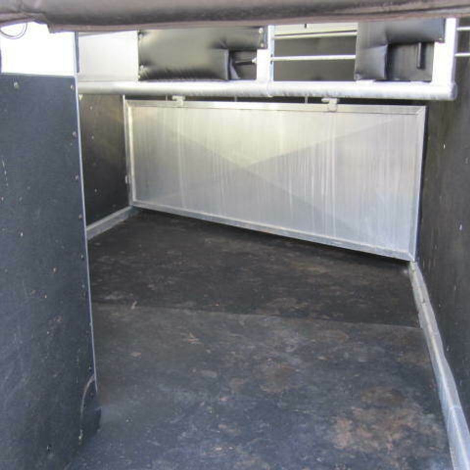 Img 7194