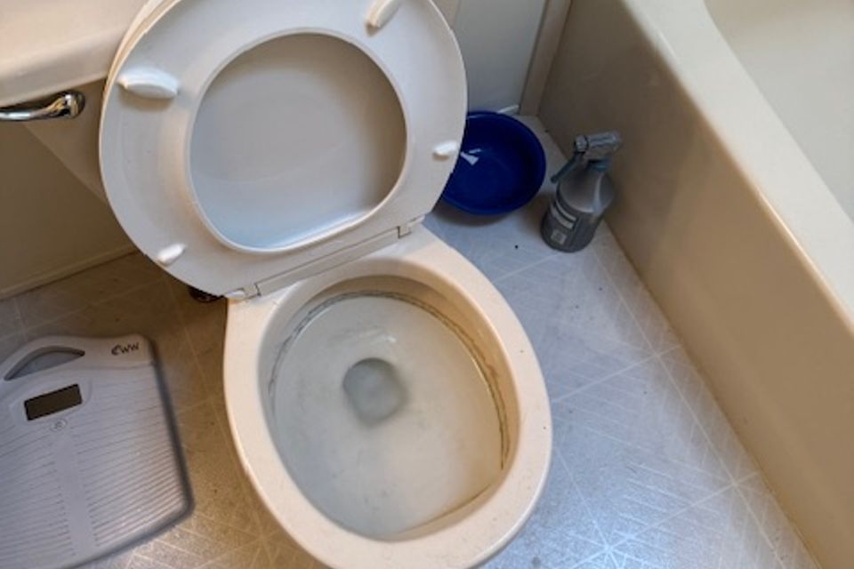 Img 0356