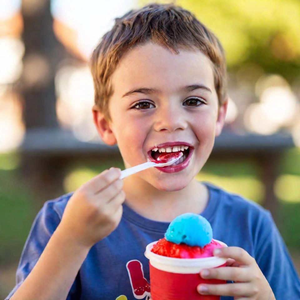 Mobile Italian Ice Services