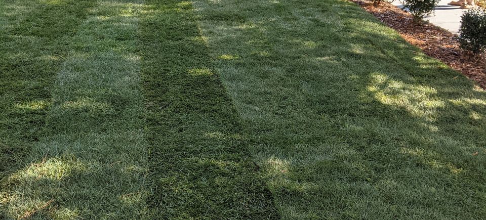 lawn service in raleigh, lawn treatment, mulch, brick pavers