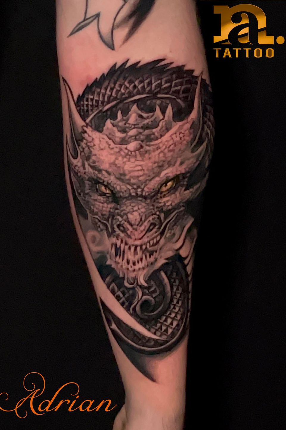 Adrian dragon