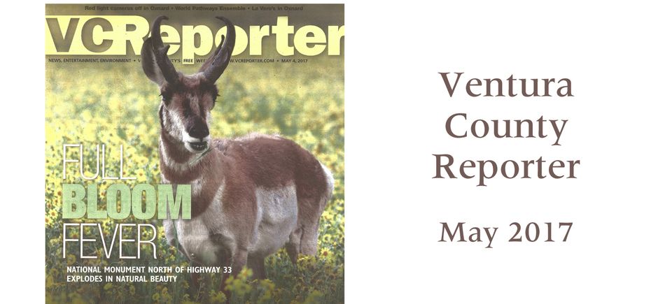 Vc reporter 2017 220171128 20742 1dr7v8e