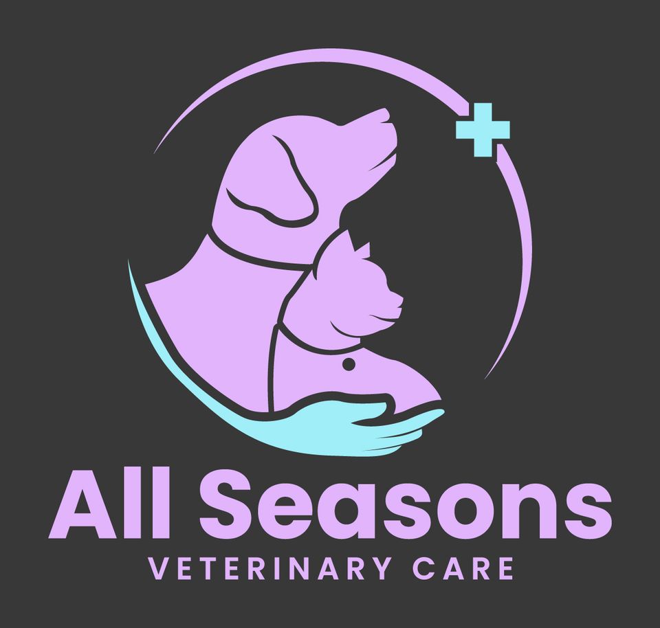 All seasons veterinary care