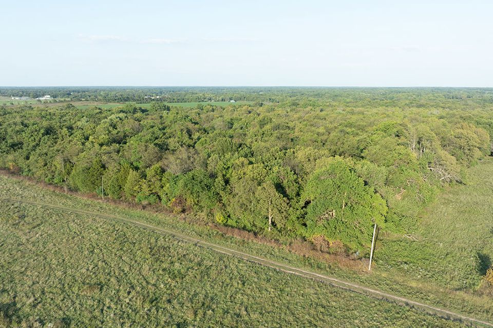 38 acres wentworth missouri 3