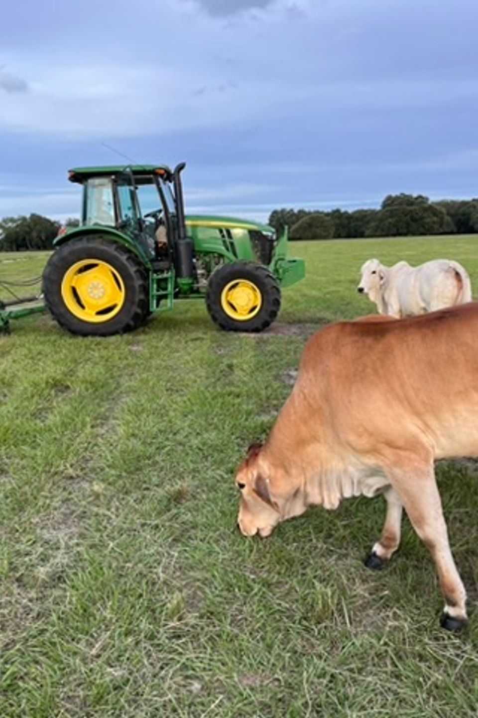 92b84679 6003 4758 b77b 05032f905688 4 5005 c