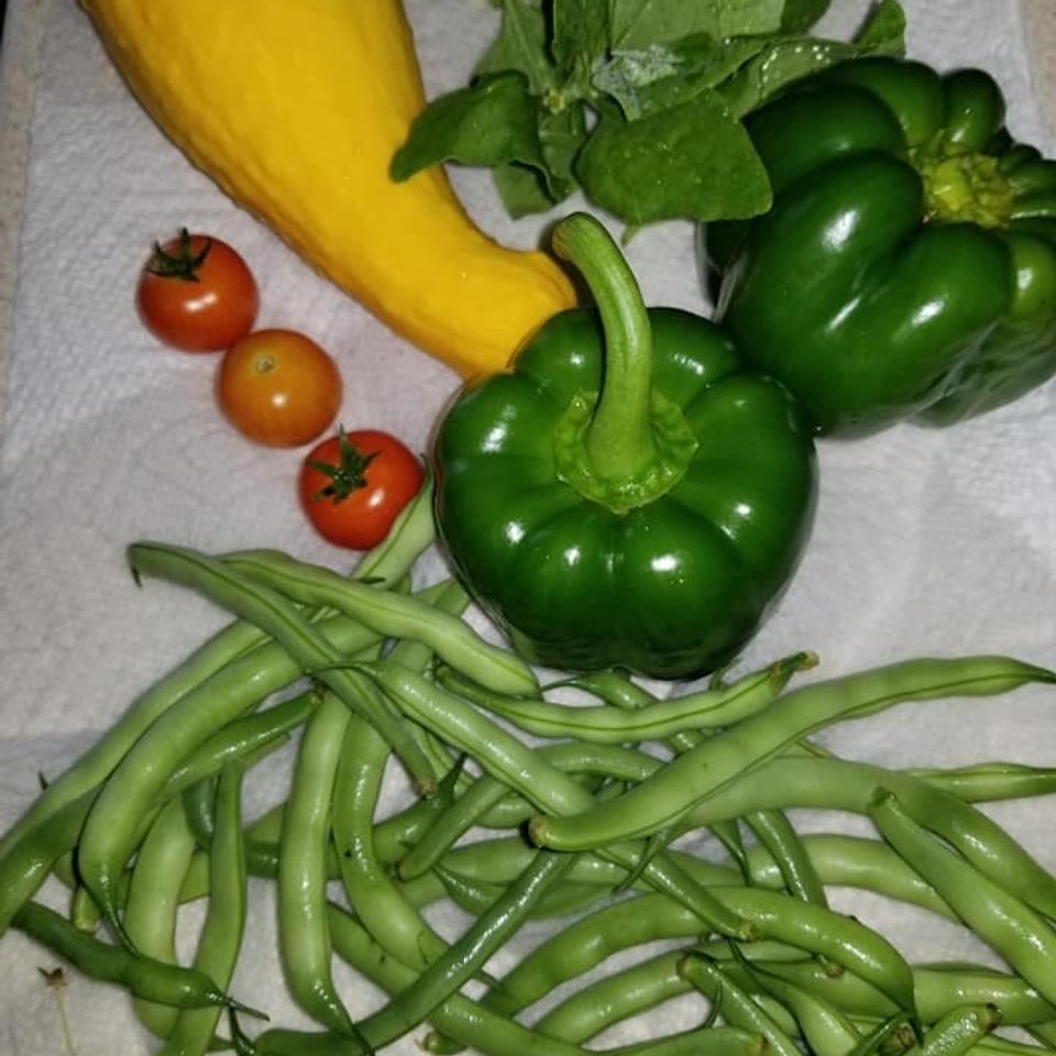 Harvest2