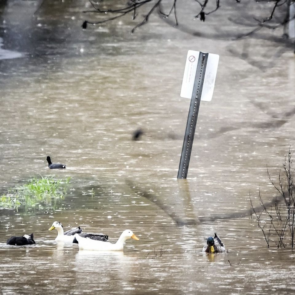 Flooding20180308 17516 179z1j