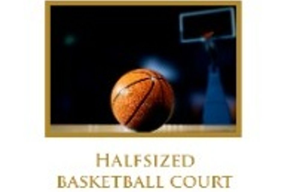 26. halfsized basket ball court