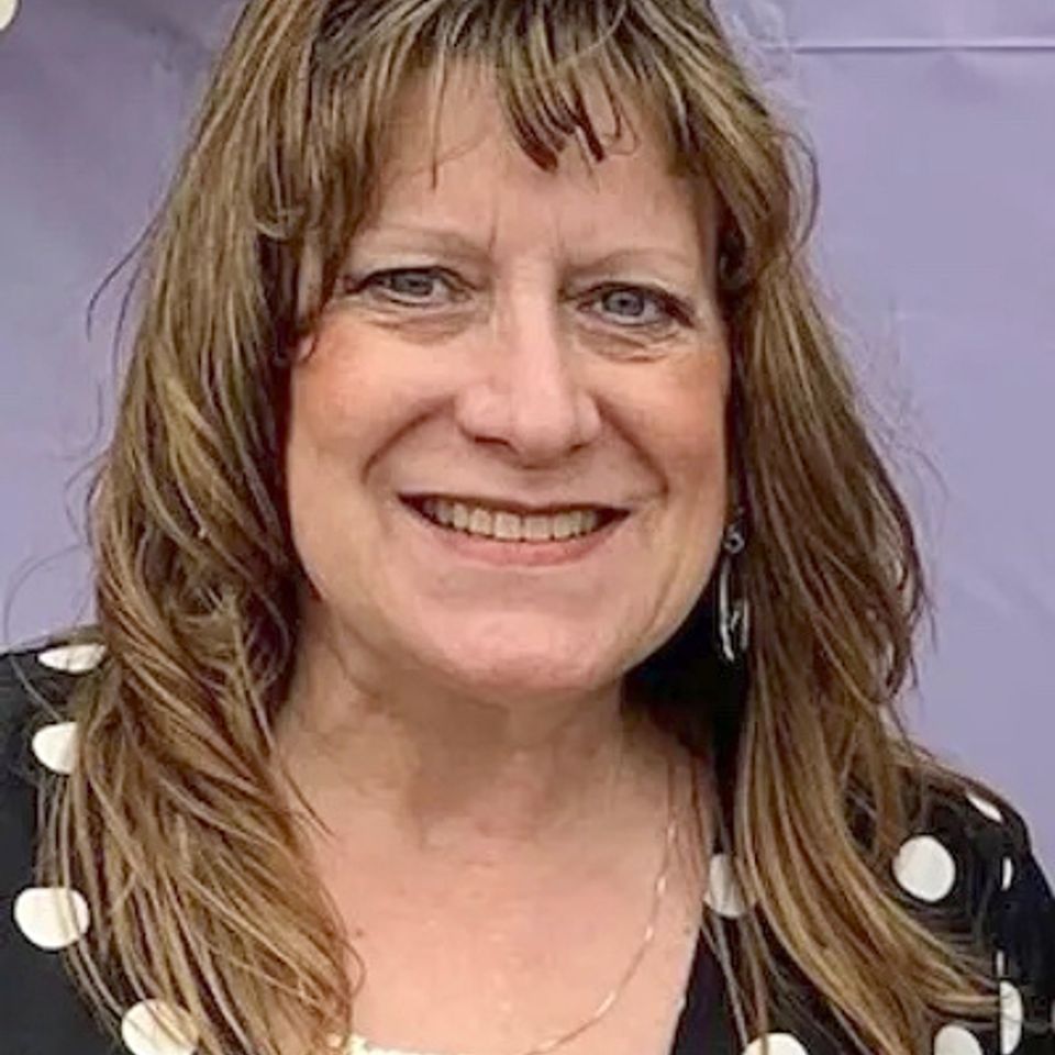 Shannon lamberti