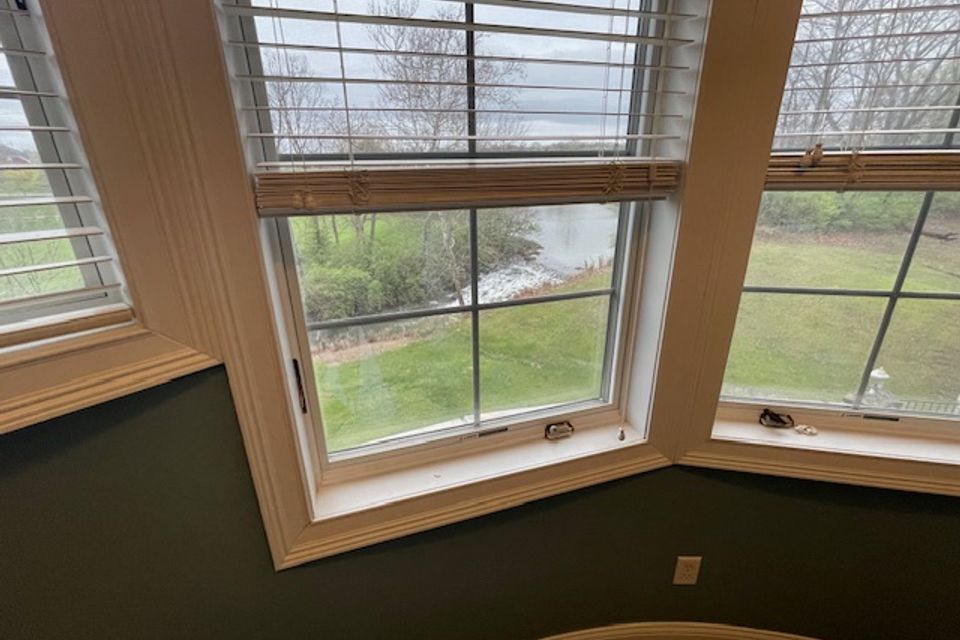 Image19
