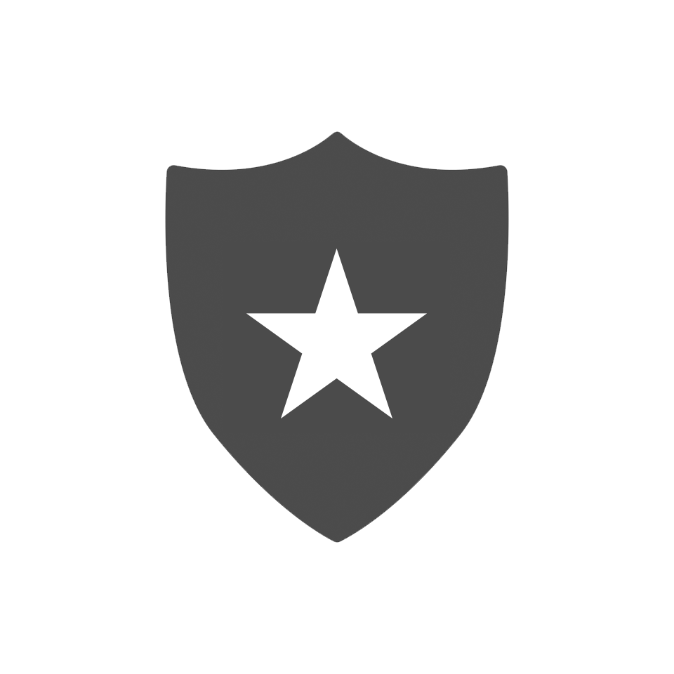 Special Event Security