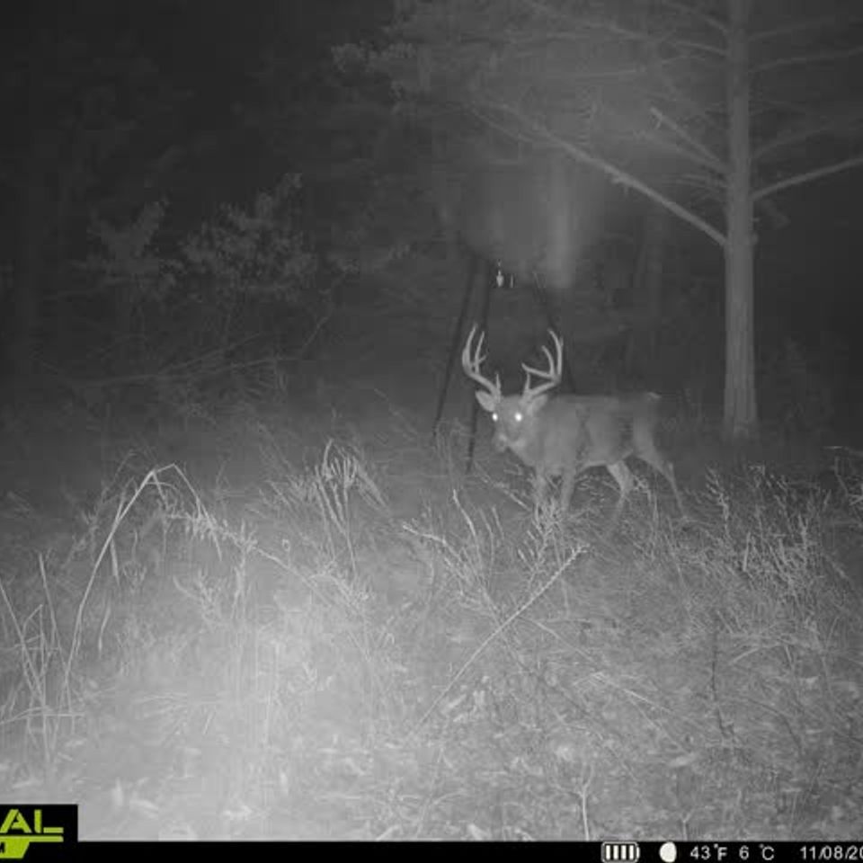 860322064001438 100 4 11082025021350 w1002399