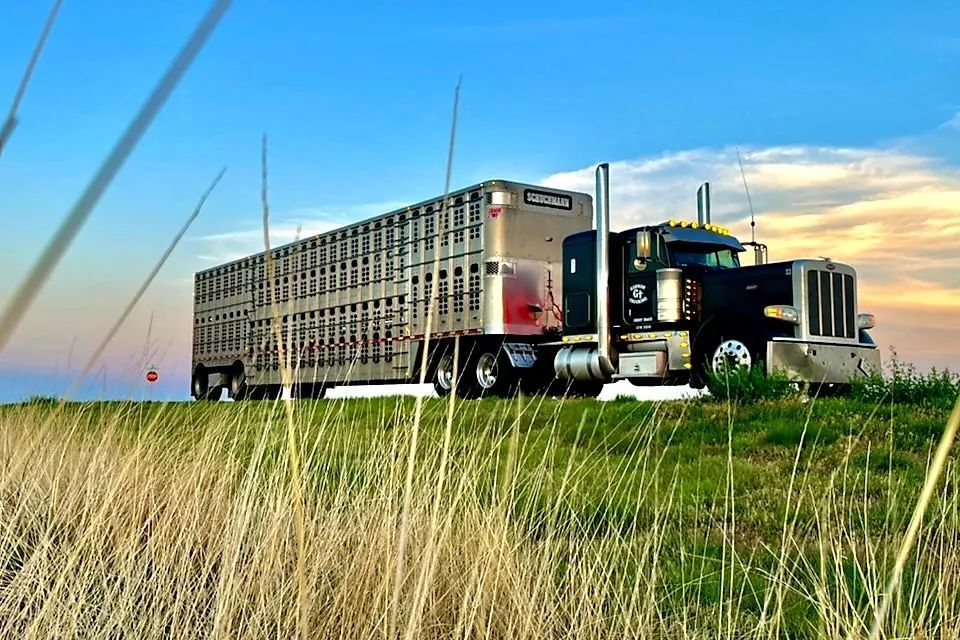 489821572 9957596547607582 5797149153163471019 n