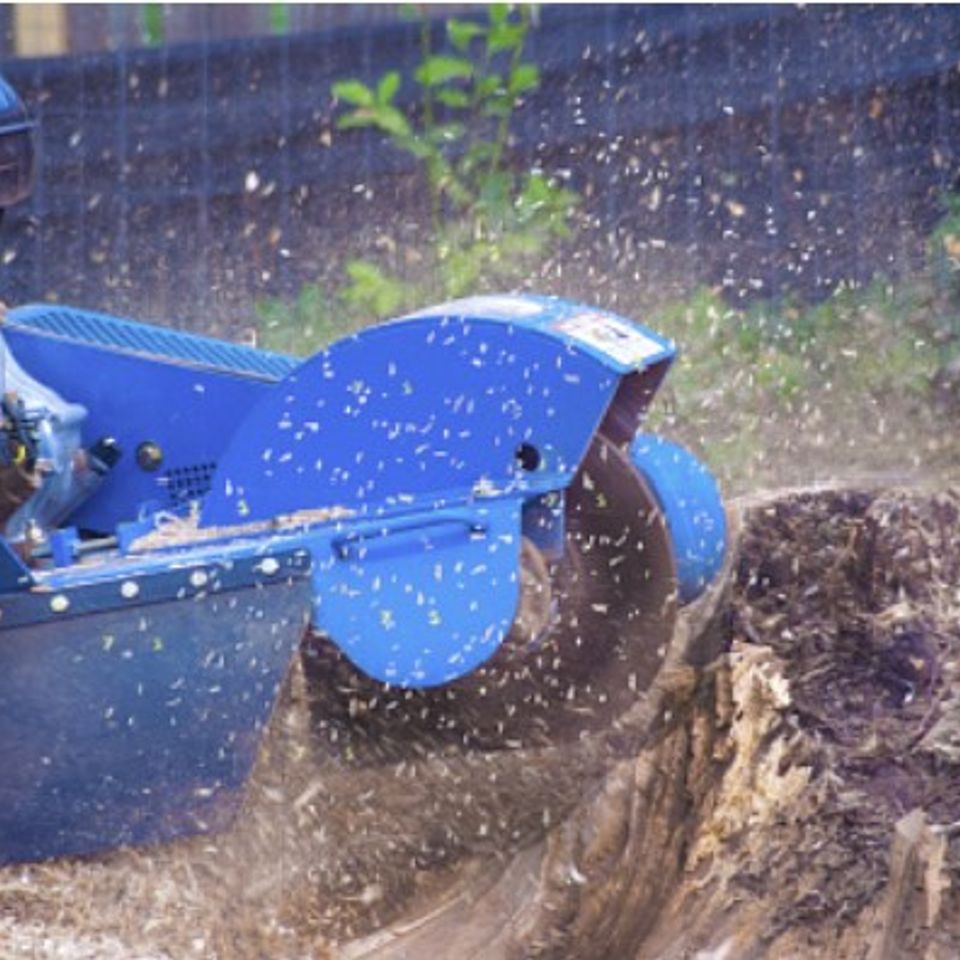 tree stump grinding folsom