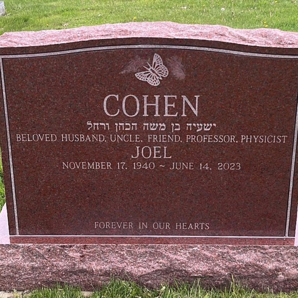 Joel cohen set