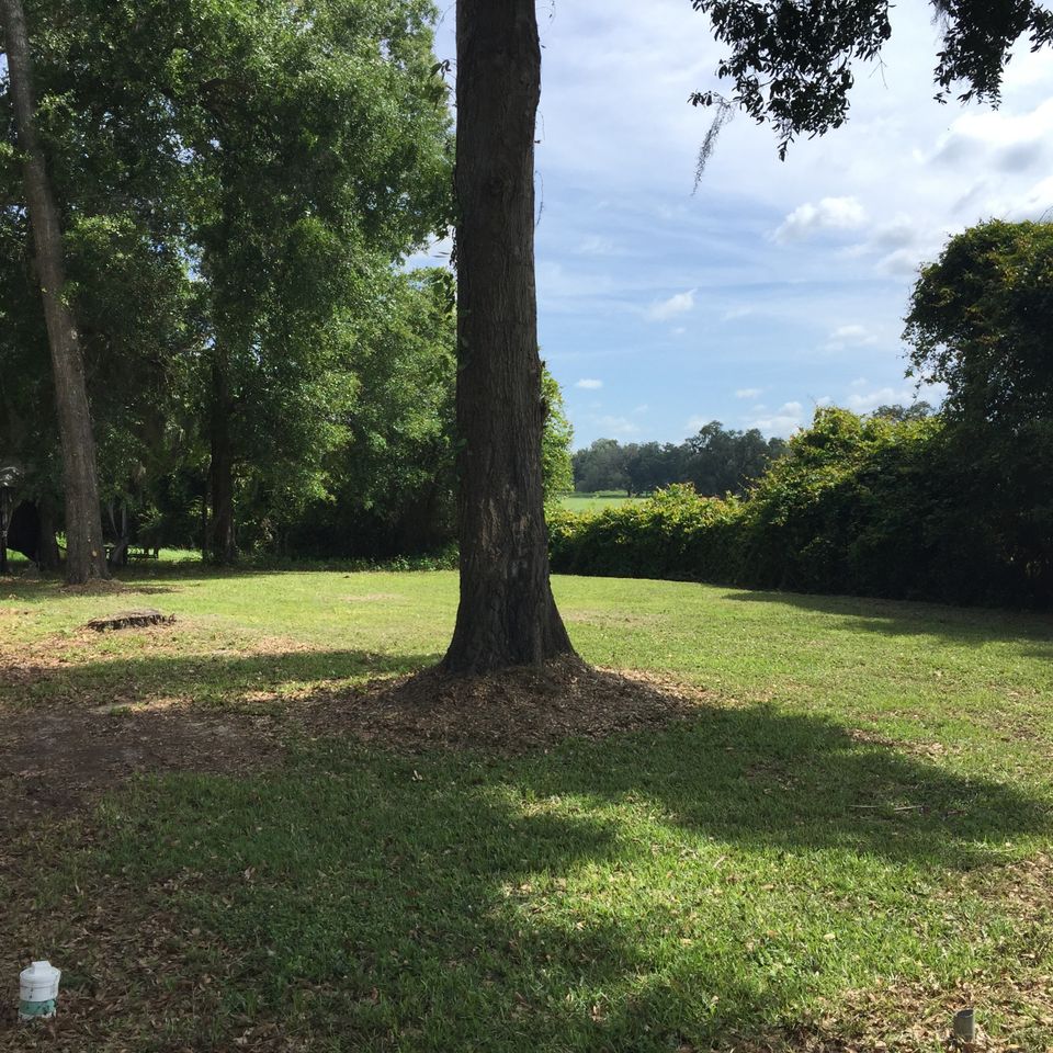 8555 back yard