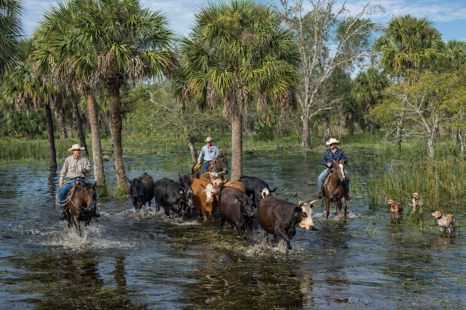 Chatgpt image jan 19  2026  10 09 39 am