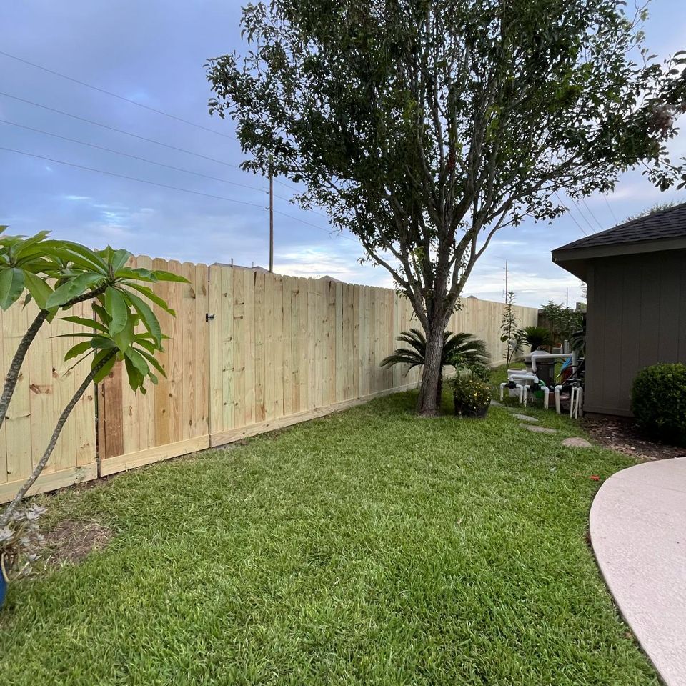 Whatsapp image 2026 01 11 at 1.40.08 pm