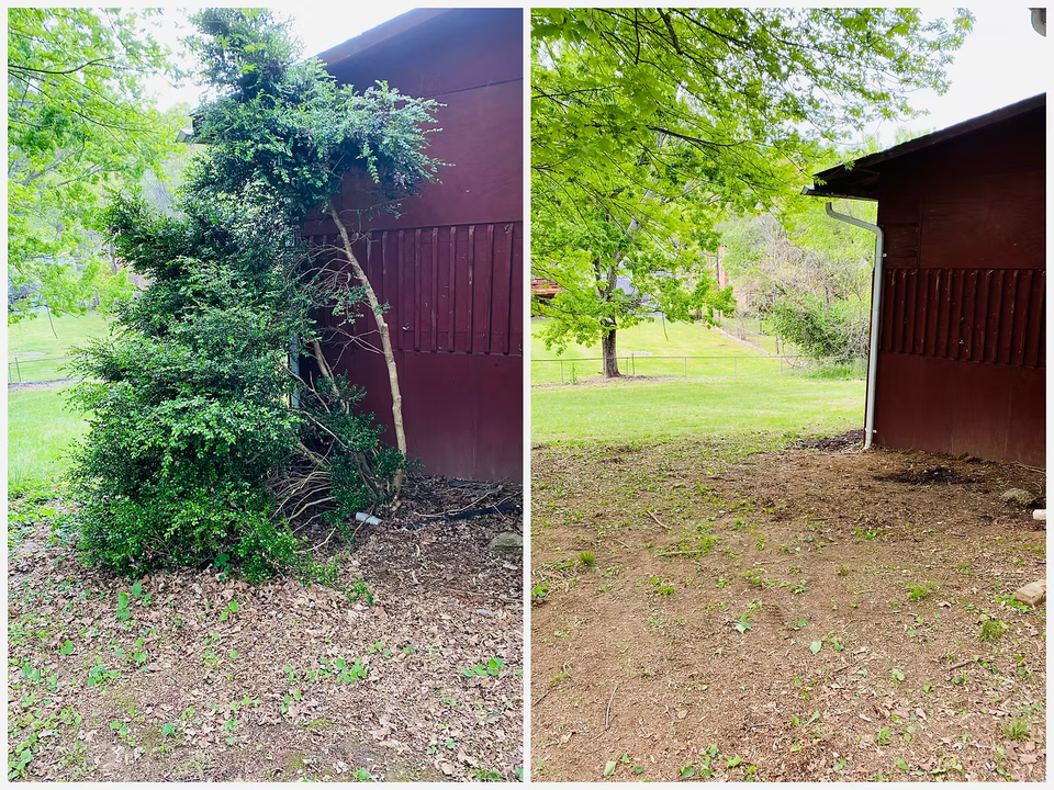 Mowing landscaping johnson city66