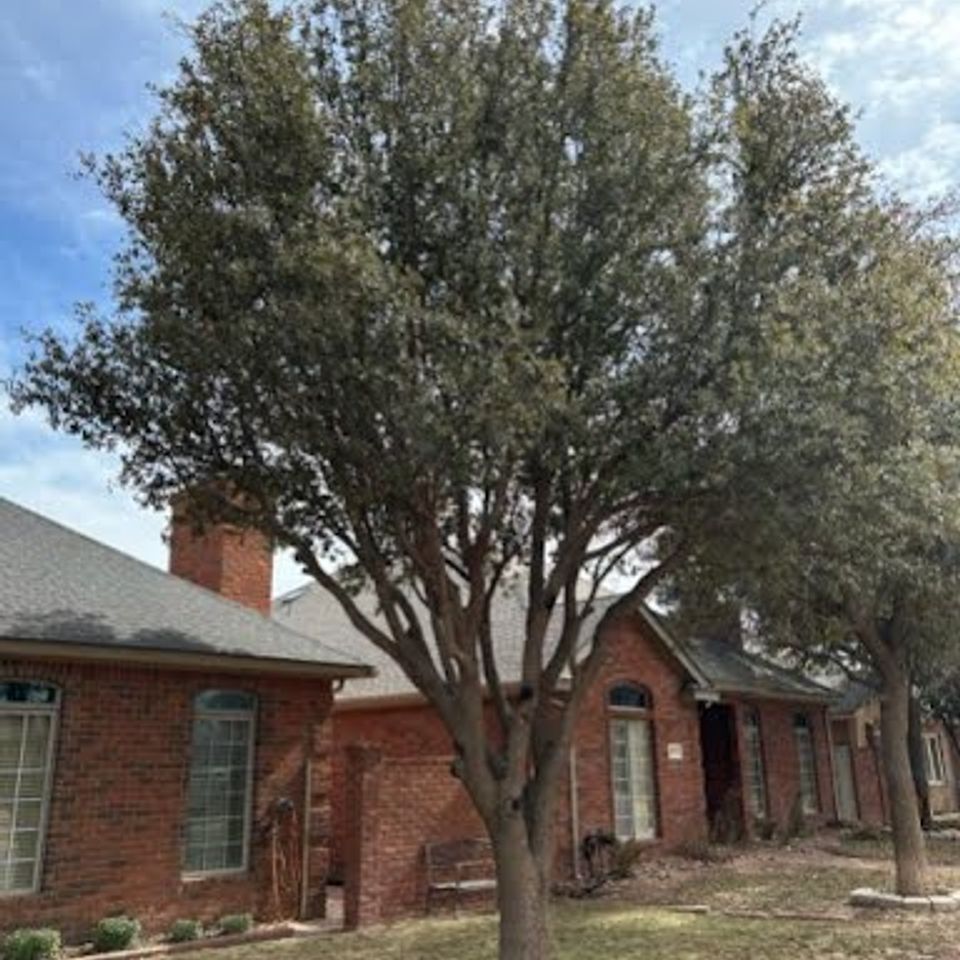 7edf4a5fc82fd663fc799ce7cebac2dce7b2c8ab 9 original