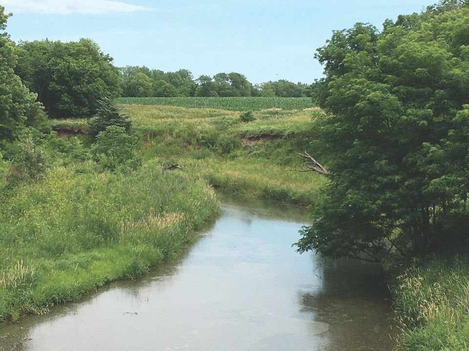 Burchfieldcreekupstream