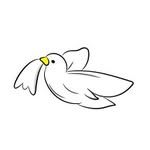 Whiter than snow clean co