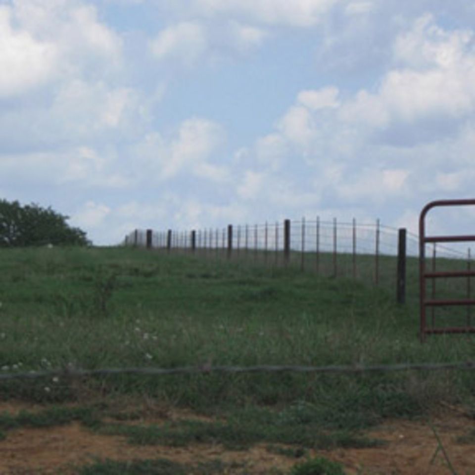 Fieldfenceonestrand6500 820150602 29141 1b0gjur