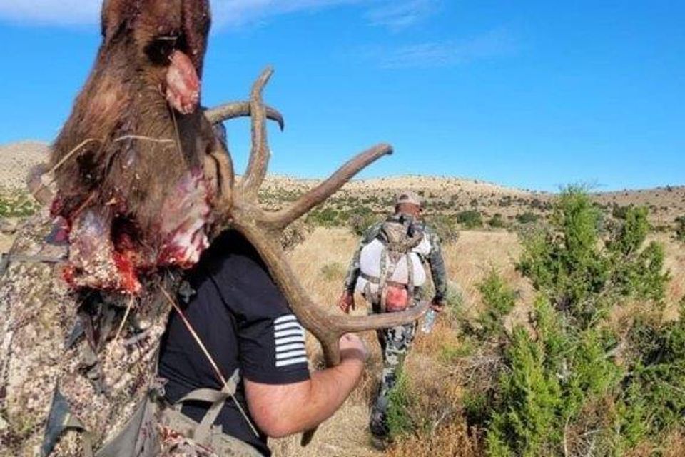Justin butt and tim packing out dj's bull 2021