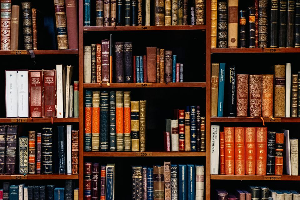 books on shelves 