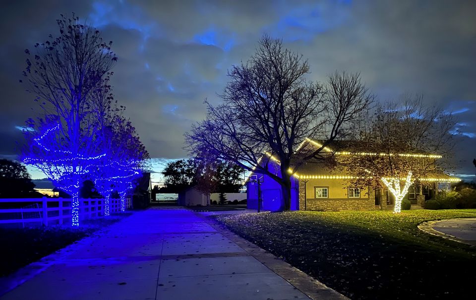 Proshine christmas lights