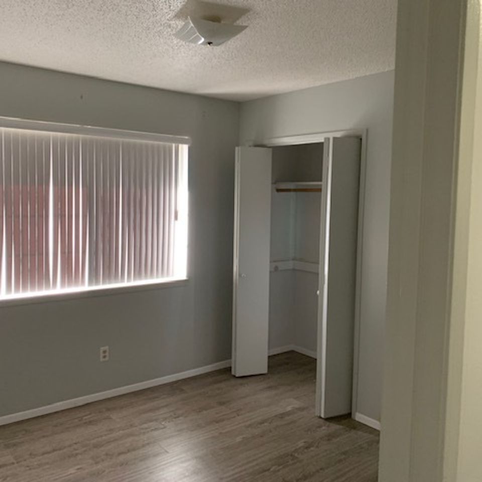 Img 1336