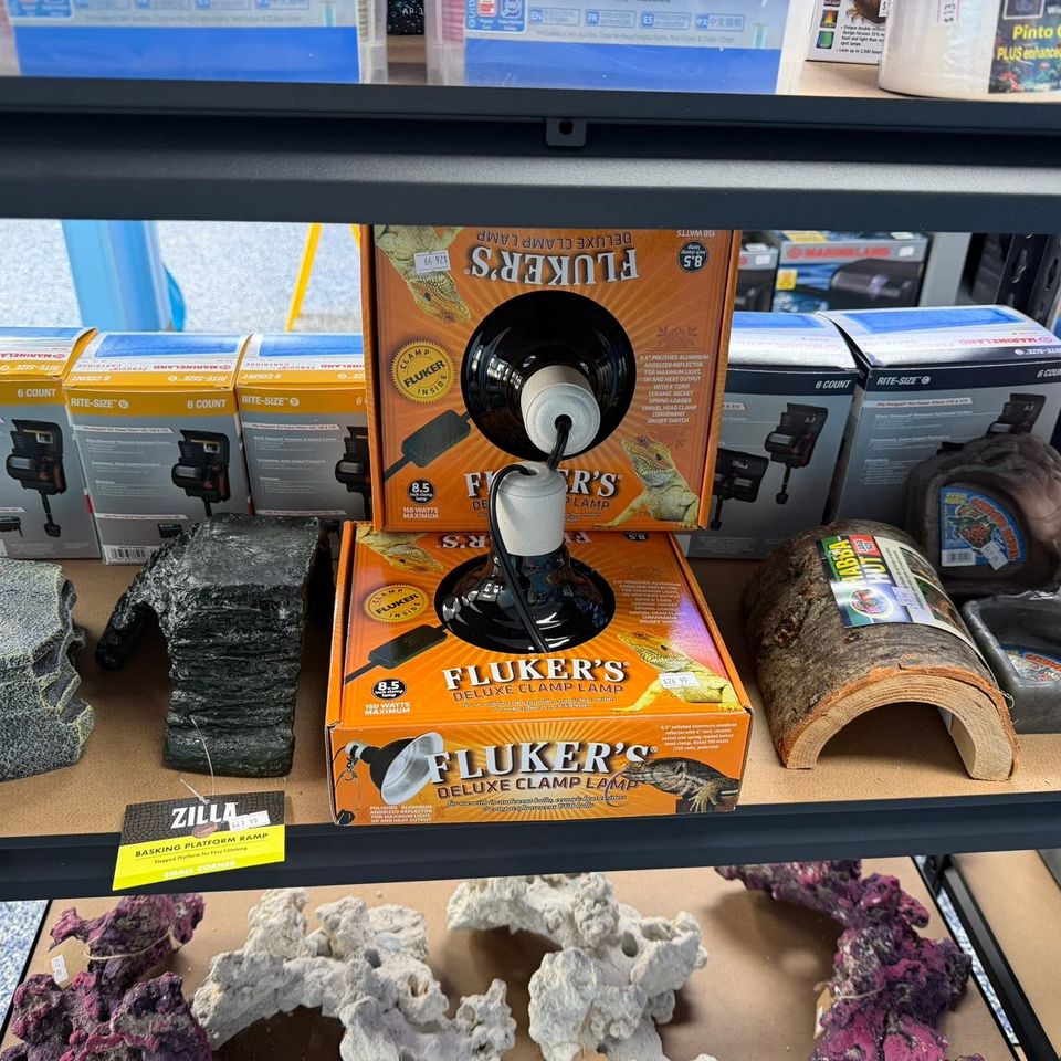 708229416 122114134898823340 7515432597936516869 n