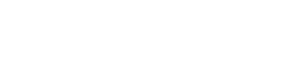 Icon advcon