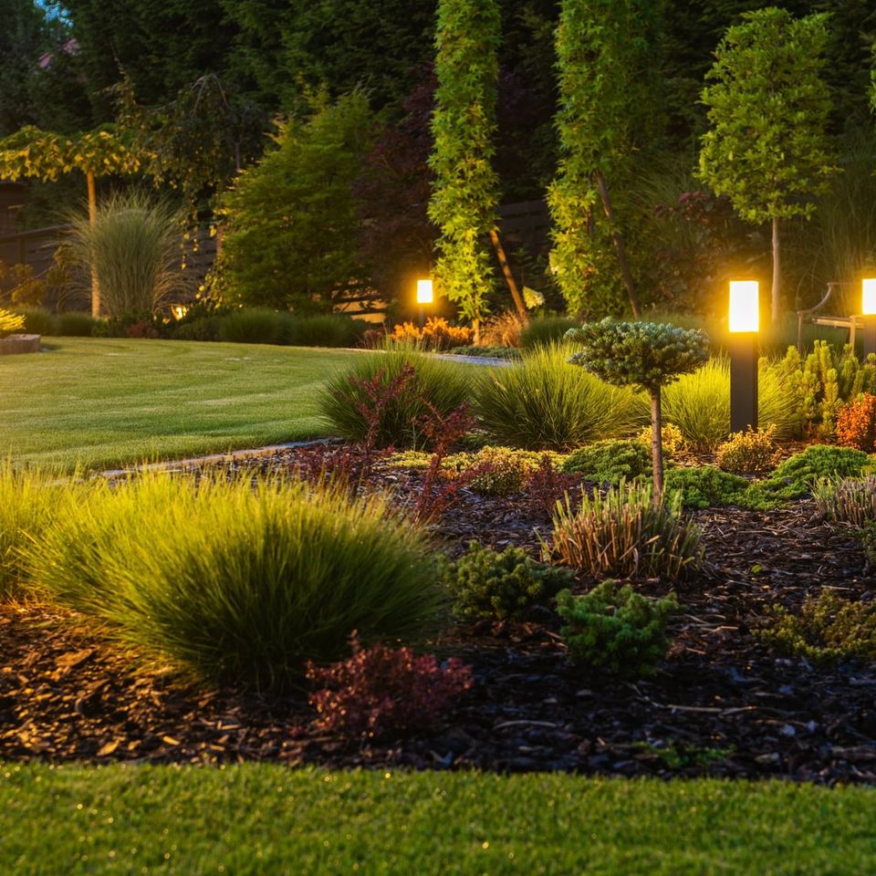 Landscape Lighting