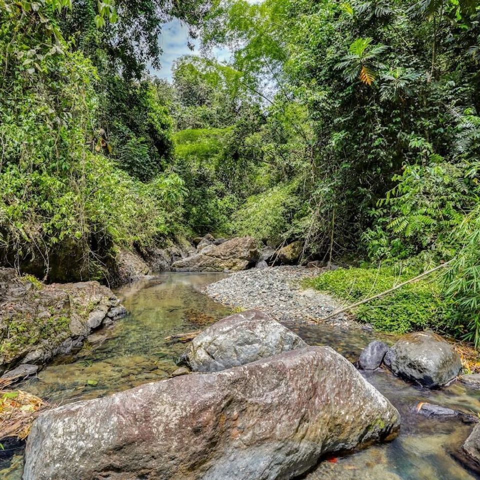 Finca maricao muniz and muniz realty rincon pr (9)