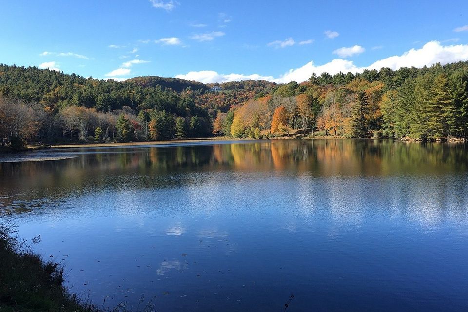Basslake