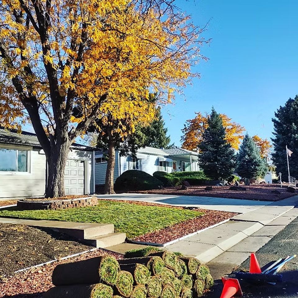 Landscaping